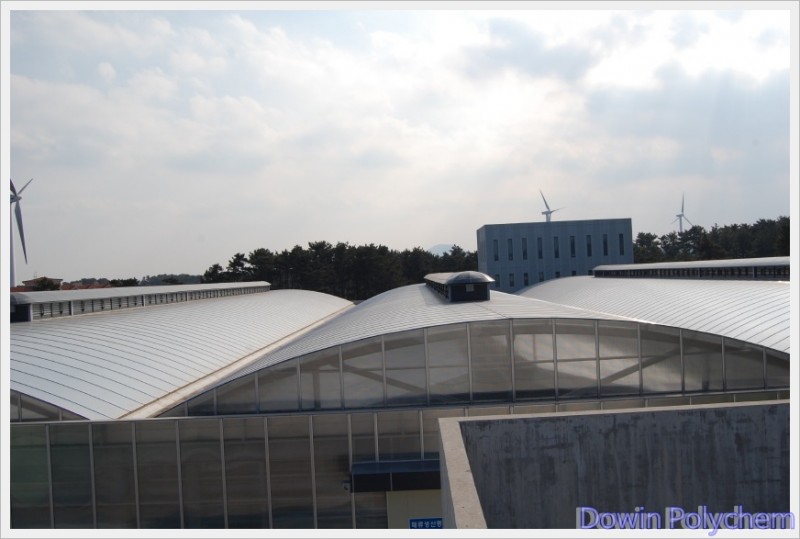 06.JPG