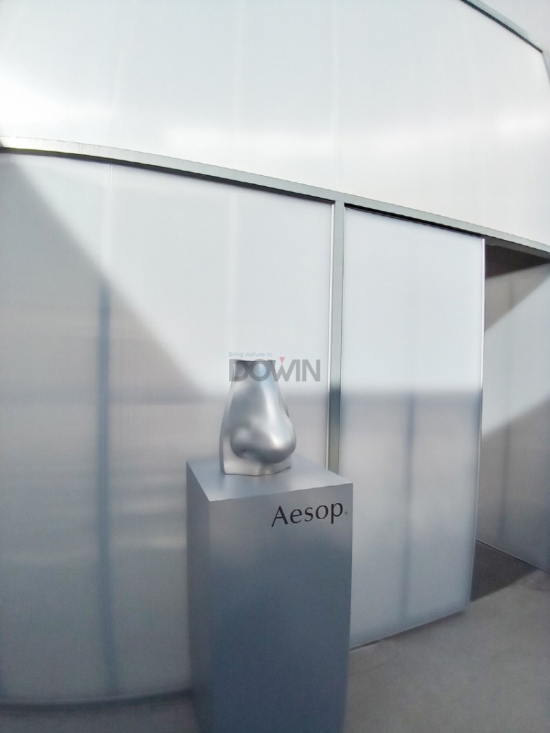 a4eaa03753382fbf200ebebd34405d90_1741842922_6178.jpg